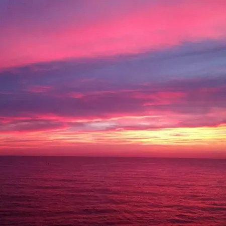 Stellahome - La Petite Cour * Sanary-sur-Mer